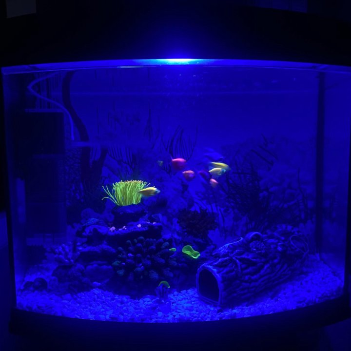 Аквариум с тумбой AquaEl Reef Max 105 л 60х40х58