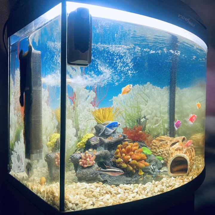 Аквариум с тумбой AquaEl Reef Max 105 л 60х40х58