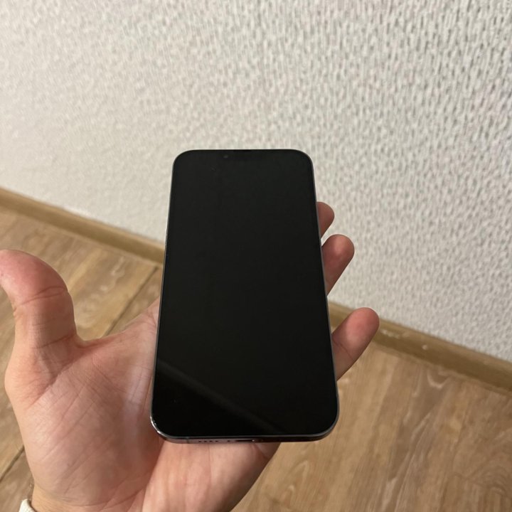 iPhone 13 Pro Max 256