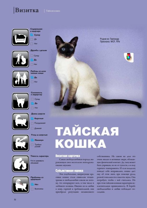 Вес мейн-куна: таблица по месяцам, вес и размер взрослых кошек и котят