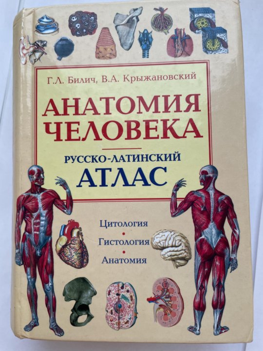 Атлас анатомии билич крыжановский. Атлас анатомии человека Крыжановский. Билич Крыжановский анатомия человека атлас. Атлас анатомии Билич том 2. Анатомия человека атлас л. Билич.