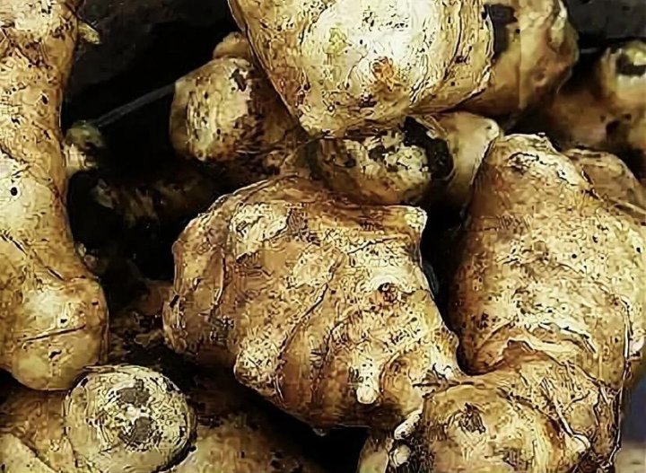 дикий картофельный лист