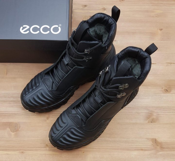 Ecco exostrike discount m low gtx