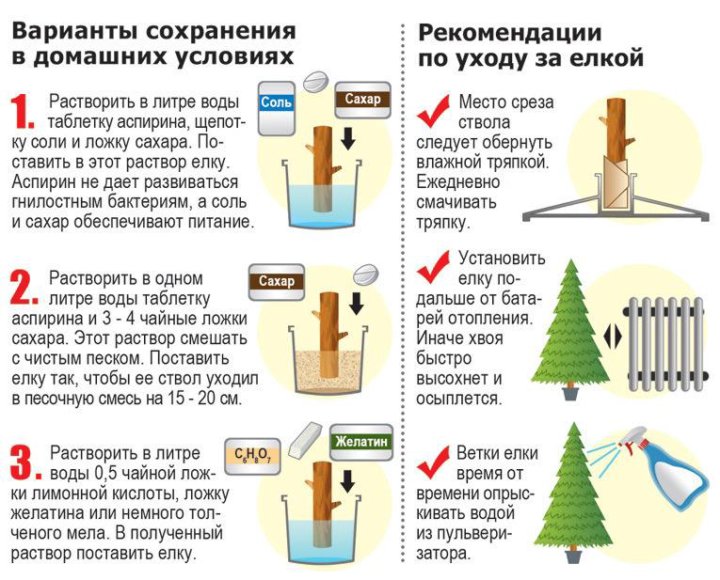 Как правильно разбирать новогоднюю елку Живая ель - купить в Комсомольске-на-Амуре, цена 1 500 руб., продано 4 января - 