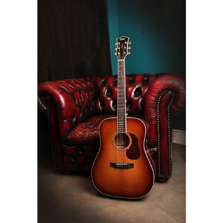 Cort Gold d8. Cort d8.