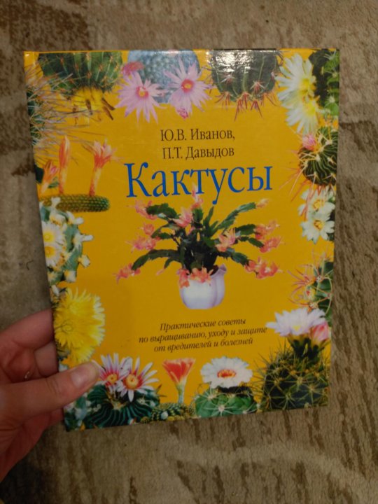 Книги про кактусы. Детские книги о кактусах художественные. Книги с кактусами на обложке. Книги с кактусами на обложке. Энциклопедия кактусов.
