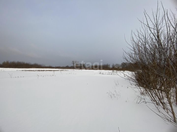 Пензенский район засечный сельсовет село засечное ново терновская улица 1 вся мебель