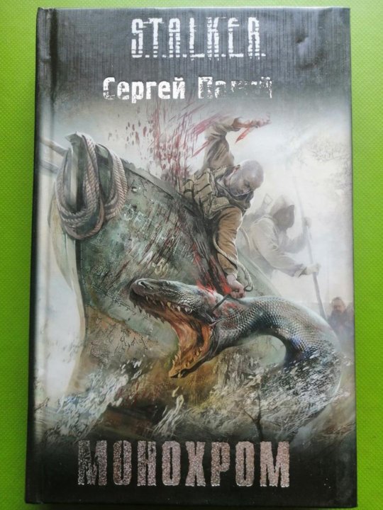 День палий. Безымянка. Книга сталкер монохром. Метро 2033. День палий.