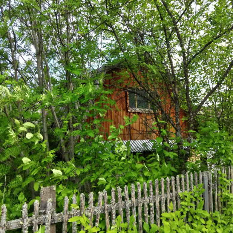 Купить Дачу В Лисьих Ямках Нижегородской Области