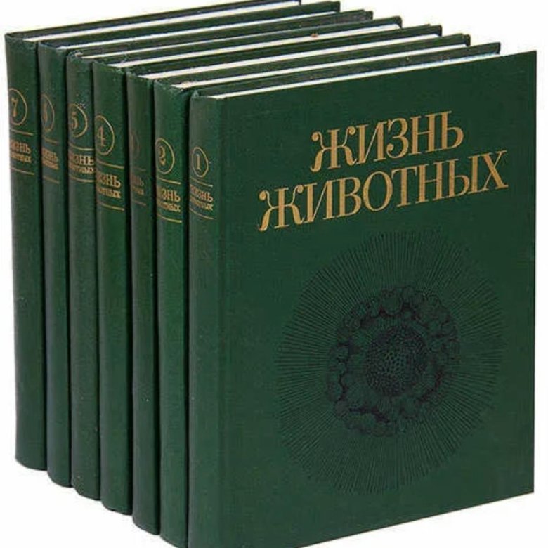 Книга семерки