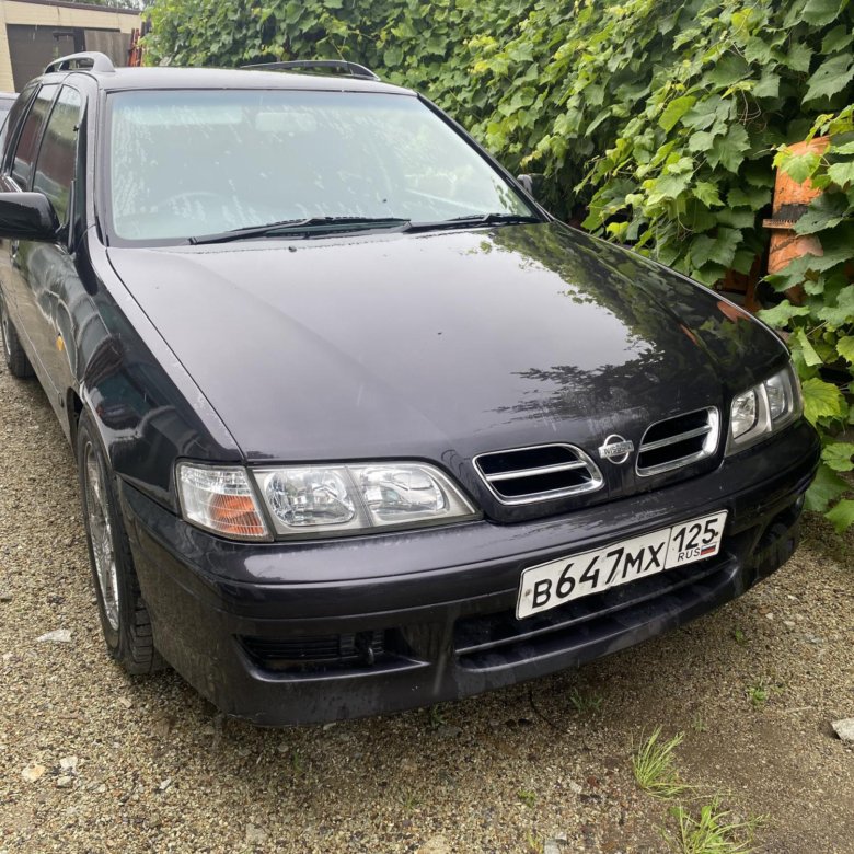 Nissan Primera P11, 1999 г., бензин, механика, купить в Светлогорске - фото, хар