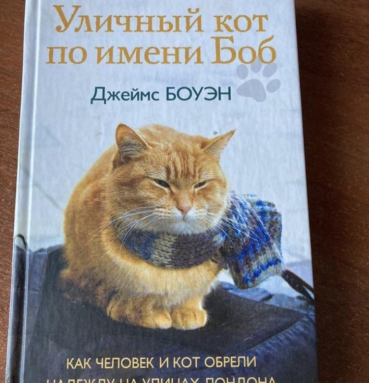 Книга уличный. Уличный кот по имени Боб. Уличный кот по имени Боб книга. Уличный кот по кличке Боб книга.