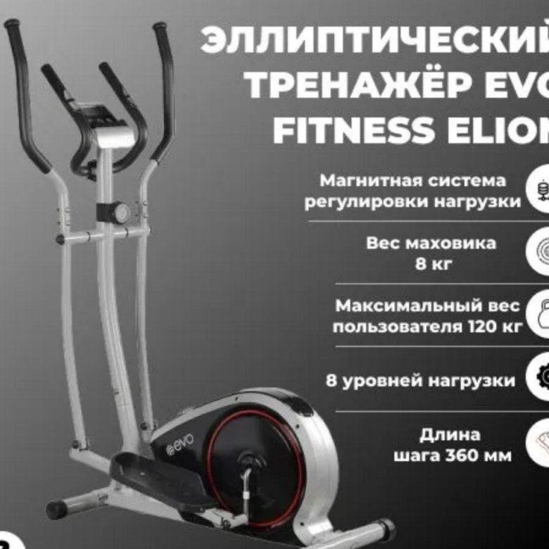 Evo fitness stella