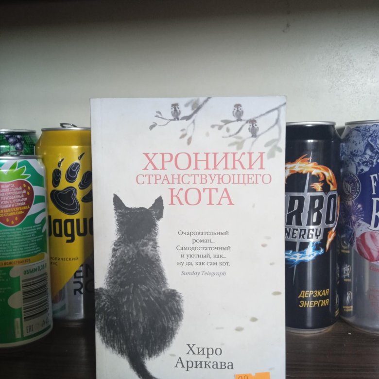 Хроники странствующего кота