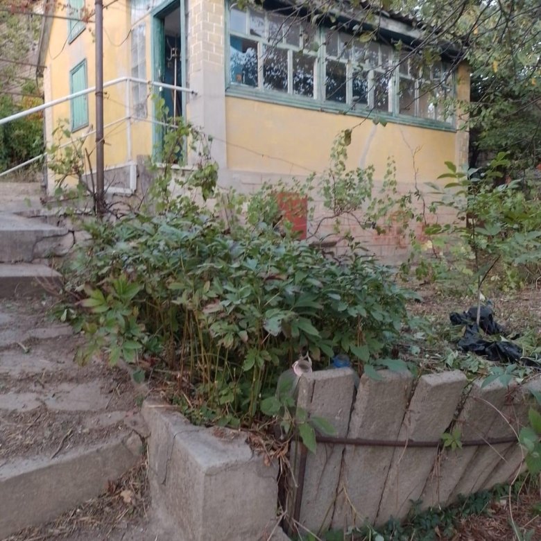 купить дом в псковской области у водоёма