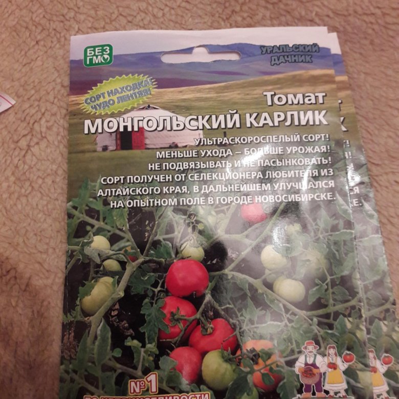 семена монгольский карлик – купить в Москве, цена 75 руб., дата ...