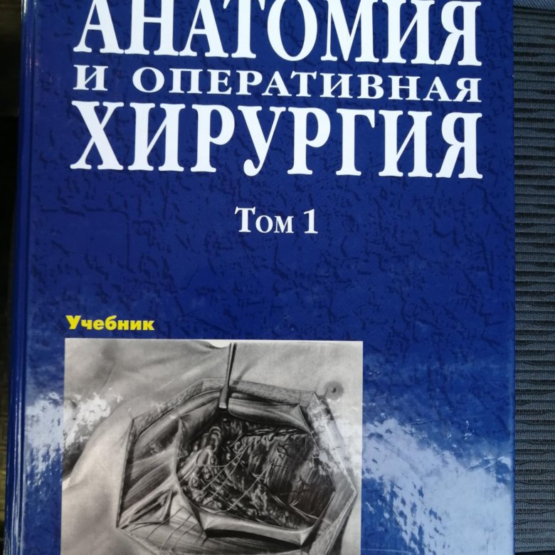 Сергиенко учебник. Сергиенко учебник