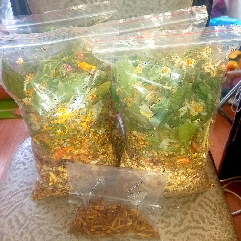 Корм для шиншилл – купить в Пензе, цена 250 руб., дата размещения: 08. ...