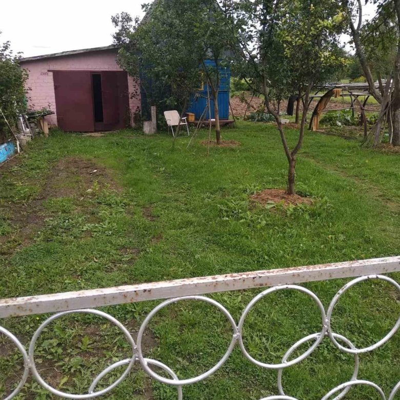 Дача – купить в Рудне, бесплатно, дата размещения: 09.09.2023 – Продажа ...