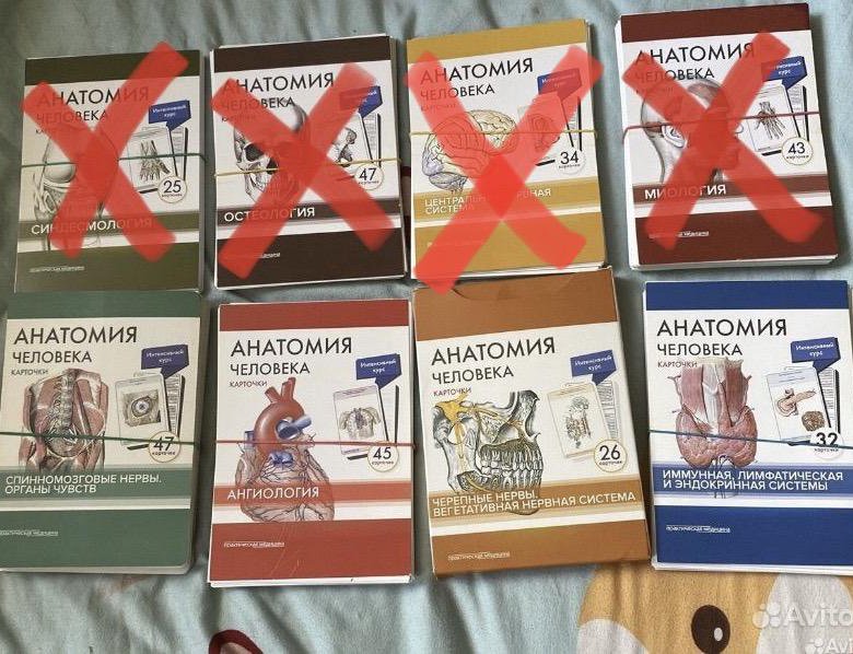 Карточки анатомия человека, Сапин М.Р – купить в Москве, цена 350 руб ...