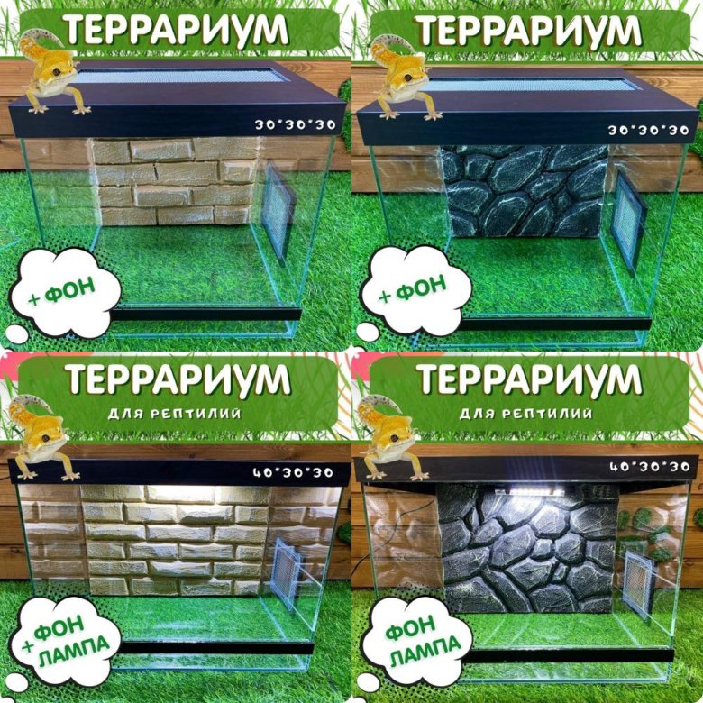 Террариум для рептилий – купить в Красноярске, цена 500 руб., дата ...