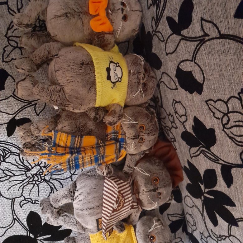 Кот басик – купить в Санкт-Петербурге, цена 1 800 руб., дата размещения ...