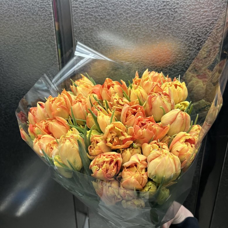 Тюльпаны опт и розница – купить в Нижневартовске, цена 70 руб., продано ...