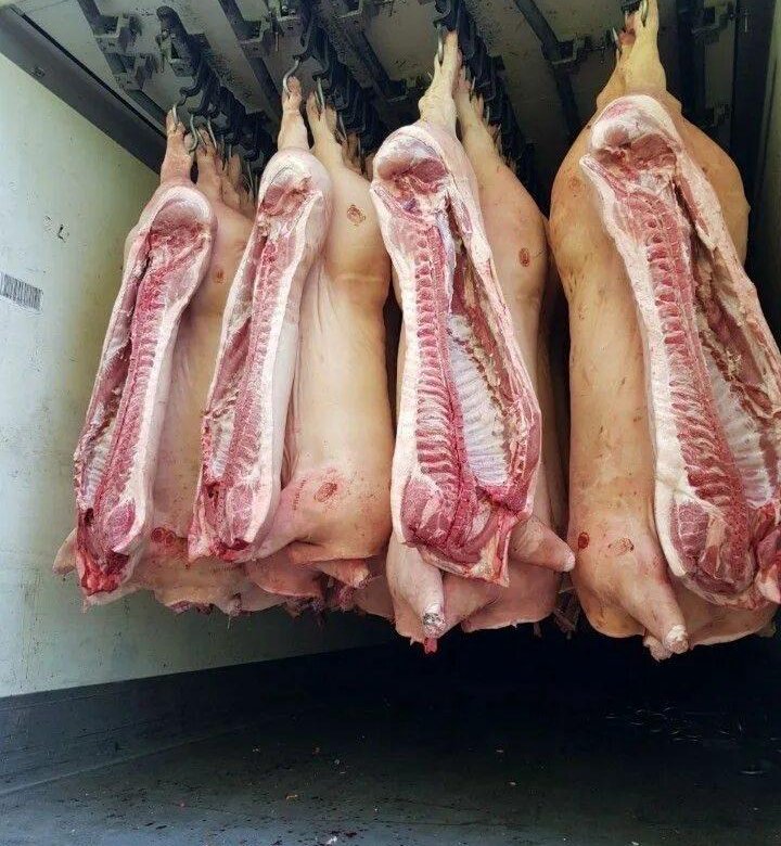 Свинина. Свиное мясо.