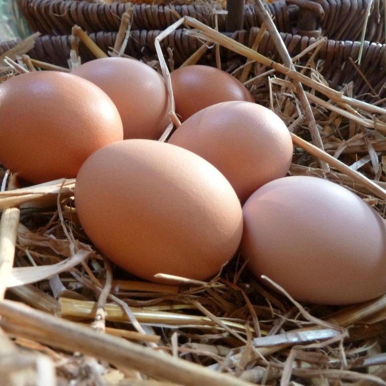 Домашние яйца. Домашние куриные яйца. Яйца кур. Яйцо от домашней курочки. Купить яйца в ленинградской