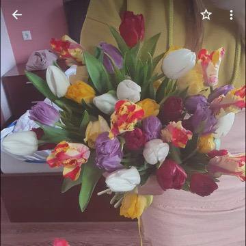 Тюльпаны – купить в Первоуральске, цена 1 руб., продано 7 марта ...