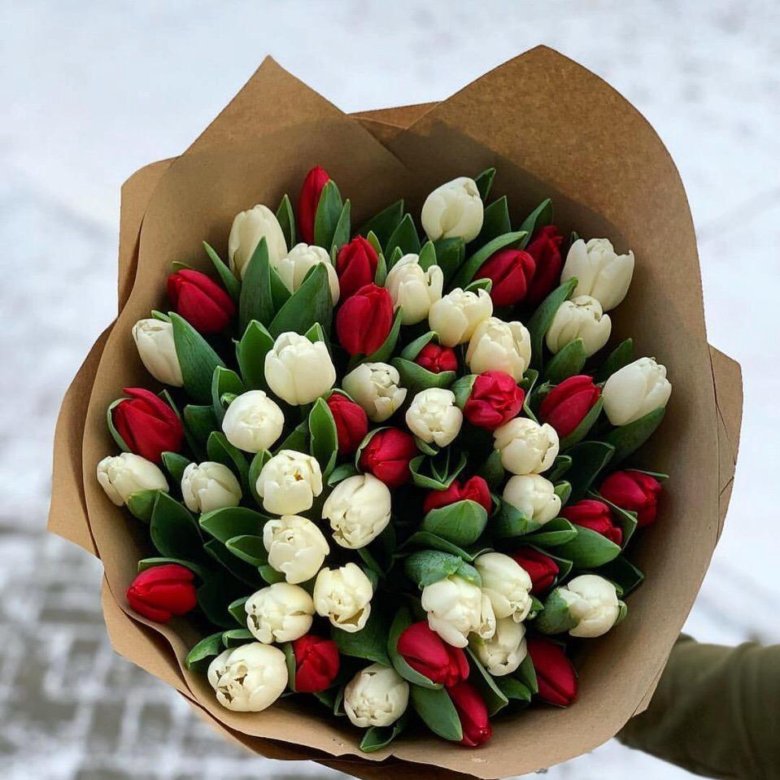 Тюльпаны – купить в Вологде, цена 70 руб., дата размещения: 03.03.2024 ...