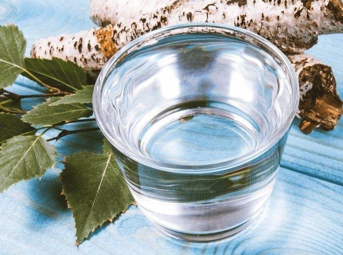 Берёзовый сок. Березовый сок фото. Сок березы. Берёзовый сок эстэтика. Заготовка березового сока.