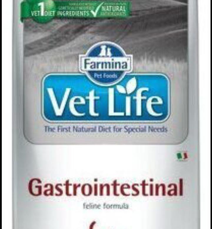 Vet Life Hypoallergenic для кошек. Vet Life Gastrointestinal корм для кошек. Vet Life корм для собак.