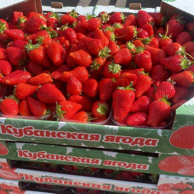 Клубника – купить в Москве, цена 550 руб., дата размещения: 03.06.2024 ...