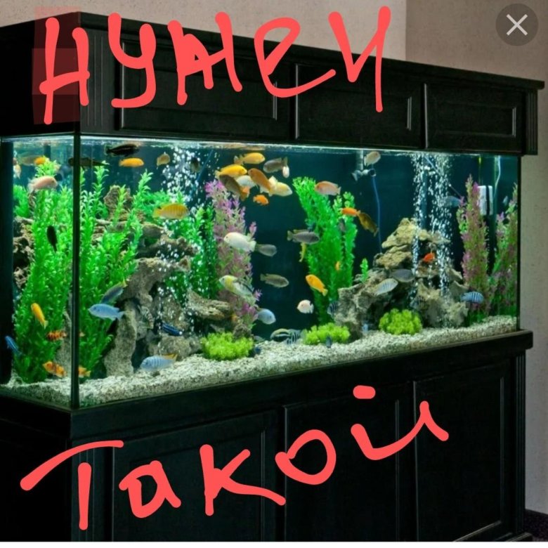 Аквариум Валберис