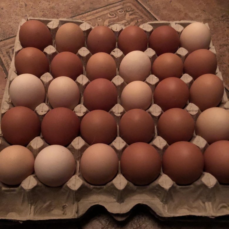 Куриное яйцо домашнее. – купить в Армавире, цена 110 руб., дата ...
