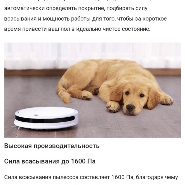 Робот-пылесос xiaomi – купить в Перми, цена 5 000 руб., дата размещения ...