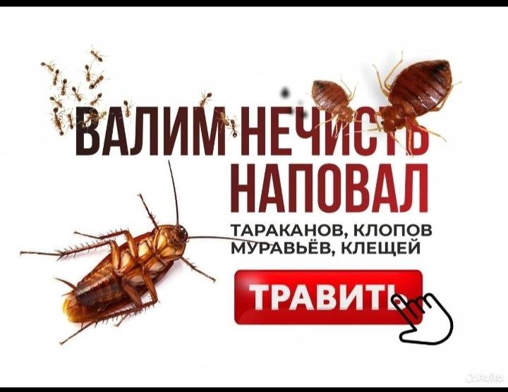Обработка От Тараканов Цена