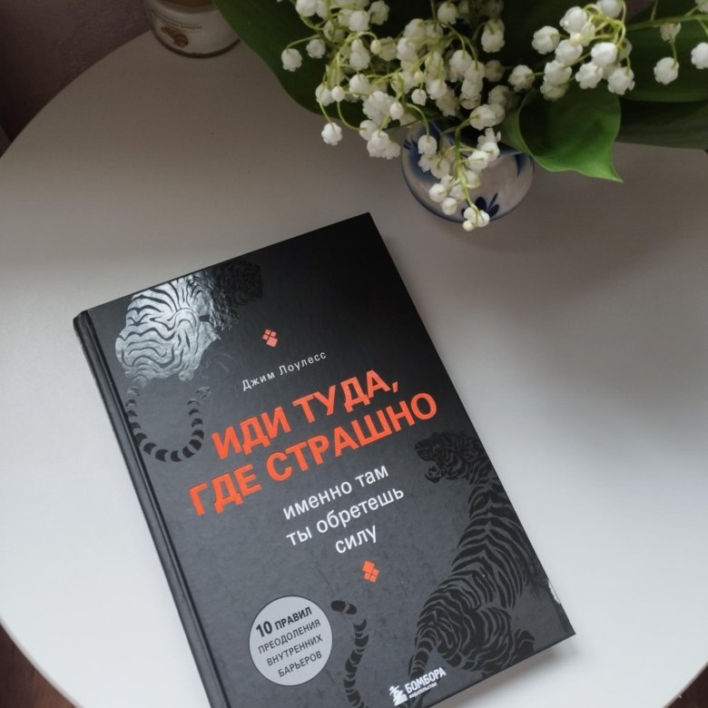 Книга "Иди туда, где страшно" – купить в Красноярске, цена 800 руб ...