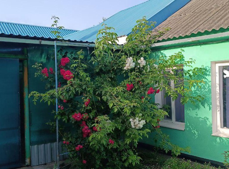Дом, 99.8 м² – купить в Кореновске, цена 6 200 000 руб., дата ...