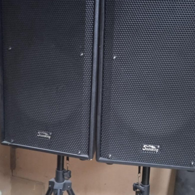 Колонки Soundking F215 на стойках (2 шт.) – купить в Москве, цена 40 ...