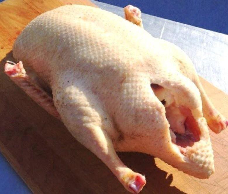 Мясо утки,гуся – купить в Орске, цена 400 руб., продано 23 октября ...