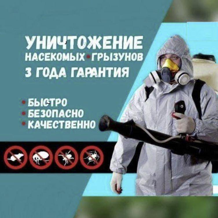 Дезинфекция, уничтожение тараканов, клопов – купить в Мытищах, цена 560 ...