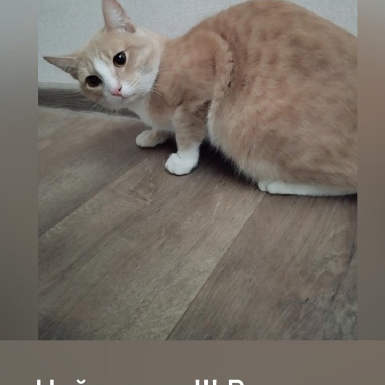 Юлий котов экстрасенс