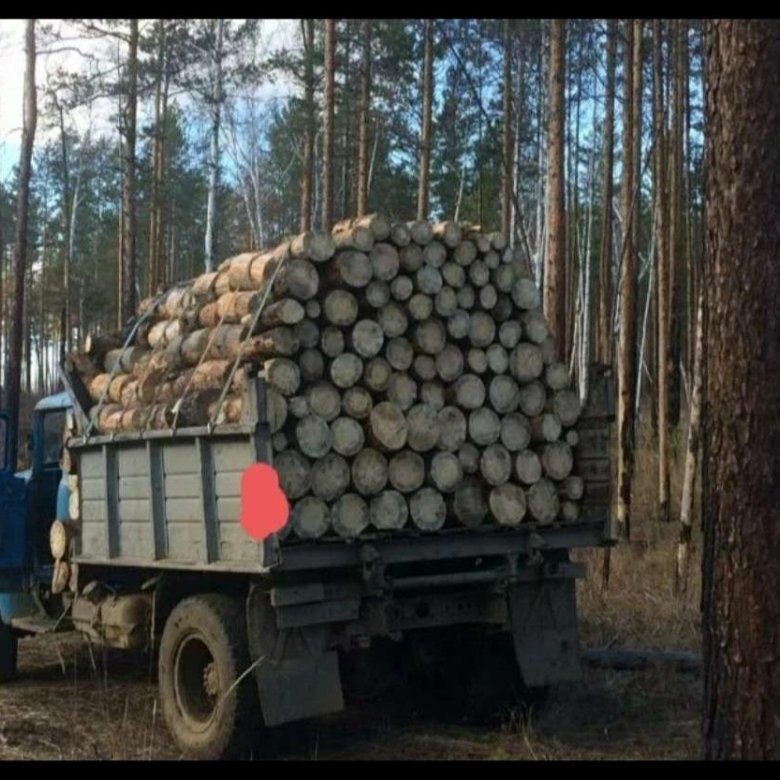 Леспромхоз дрова. КАМАЗ дрова кругляк 4м. КАМАЗ дров 10 кубов. Машина на дровах. Газик с дровами.