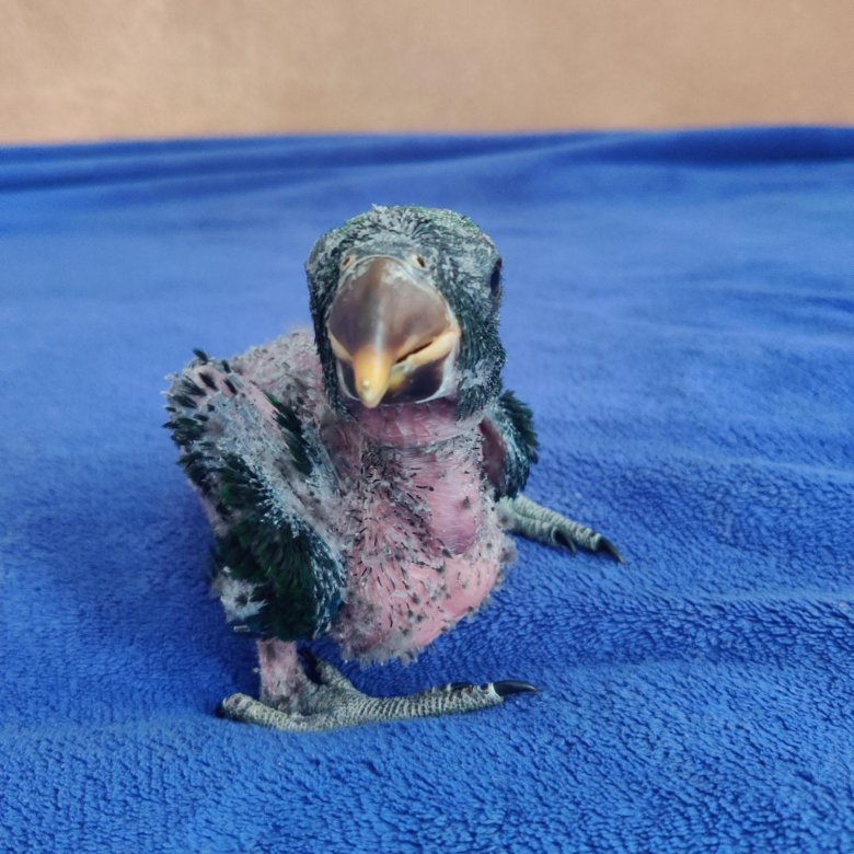 3 Of 170 000 3 Of 170 000