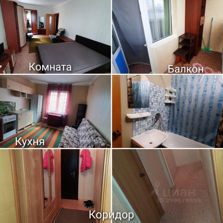 Квартира, 1 комната, 46 м² – купить в Краснодаре, цена 17 000 руб ...
