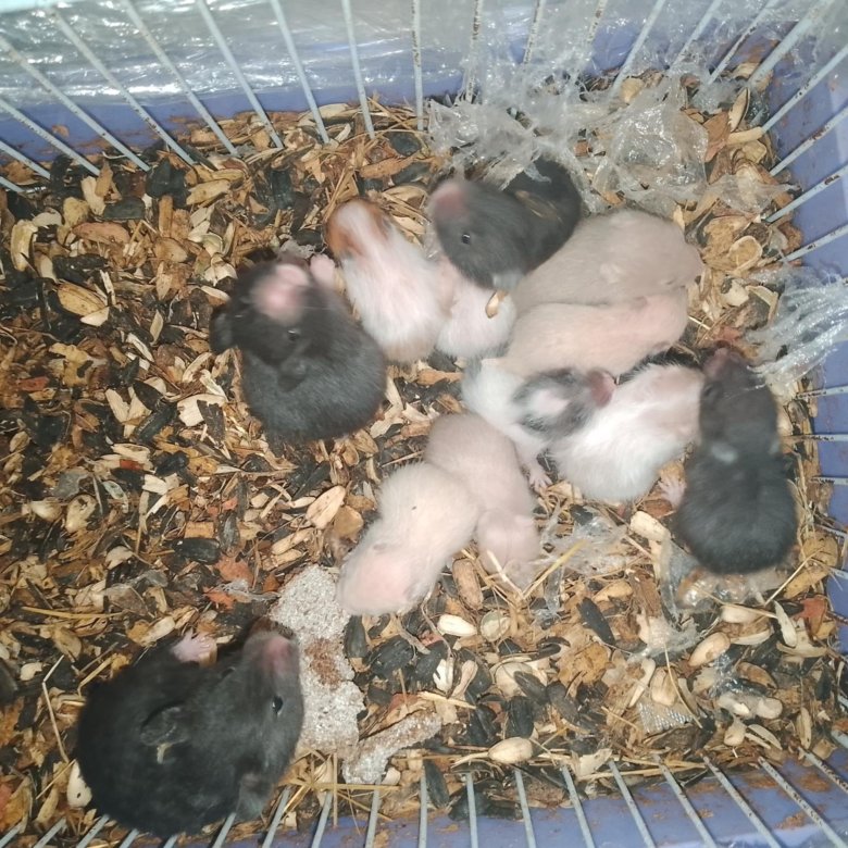 Домокомплекты в Приморско-Ахтарске лучшая цена Домокомплекты в Приморско-Ахтарске лучшая цена