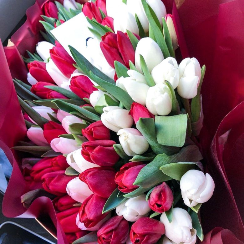 Тюльпаны на 8 марта в розницу и опт – купить в Москве, цена 50 руб ...