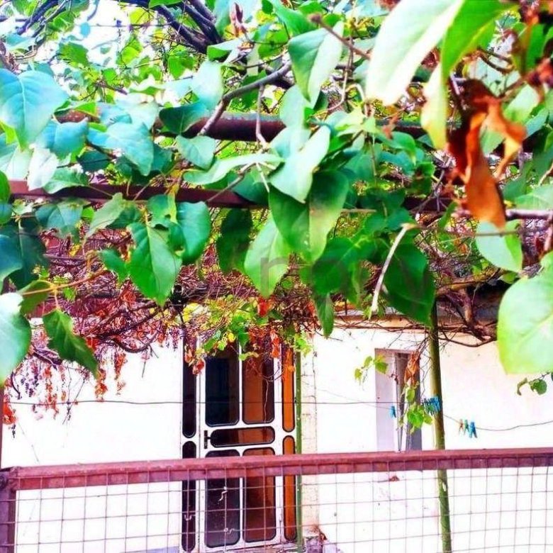 Быстровозводимые дома в Новороссийске цена